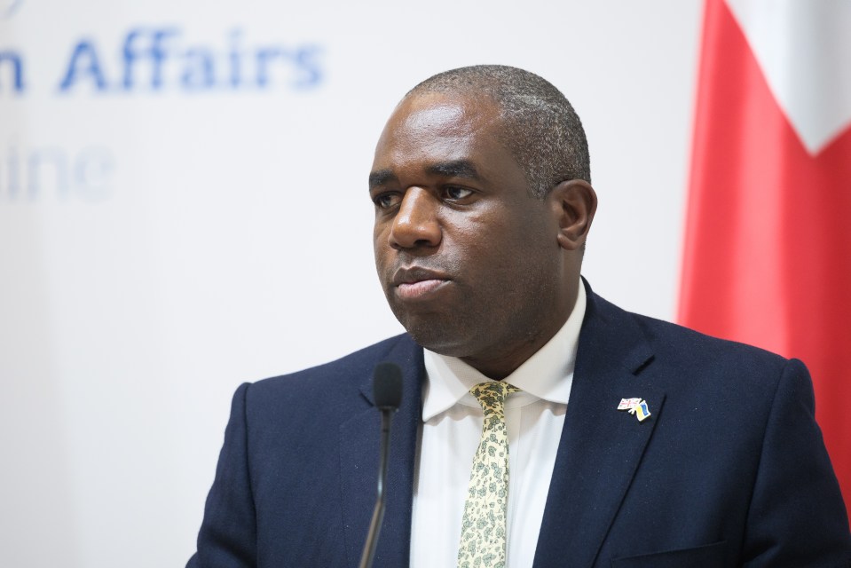 Hypocrite David Lammy spent Sunday squirming under the scrutiny of various TV cameras