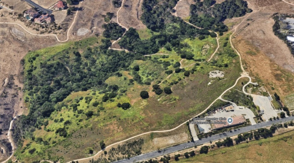 The Vellano Golf Course has been left looking overgrown