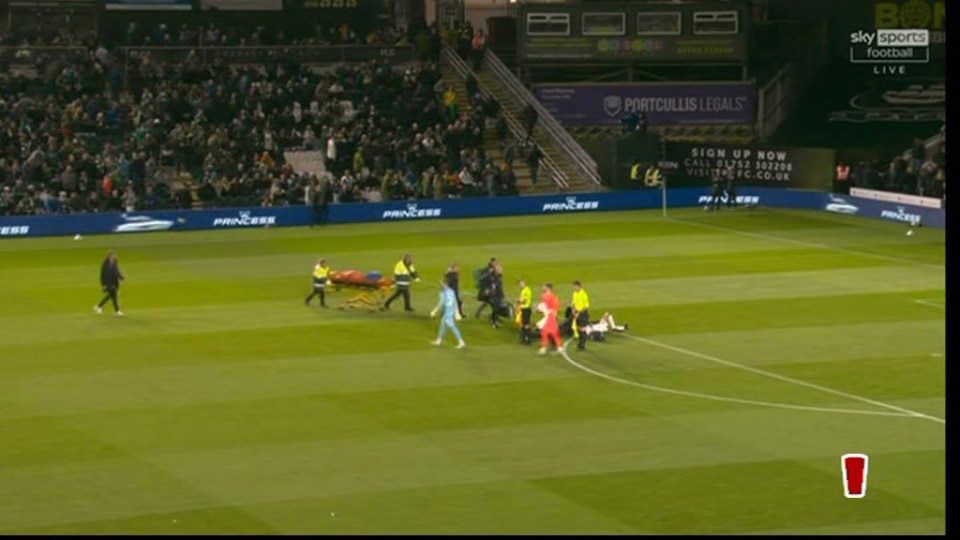 a soccer field with a sign that says princess on it