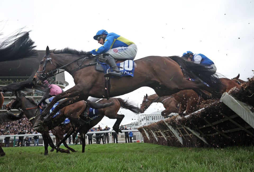 There's nothing like the jumps and Members Enclosure subscribers can take their pick from a whole range of free tickets to see the action live