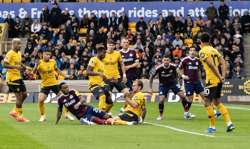 Newcastle wanted a penalty for this possible handball by Craig Dawson