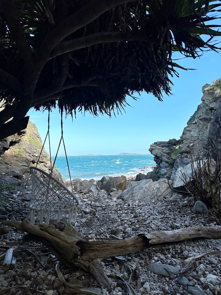 a hammock hangs from a tree overlooking the ocean