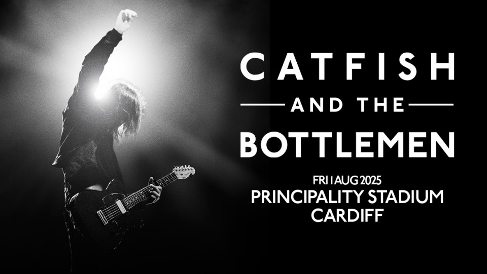 a poster for catfish and the bottlemen shows a man playing a guitar