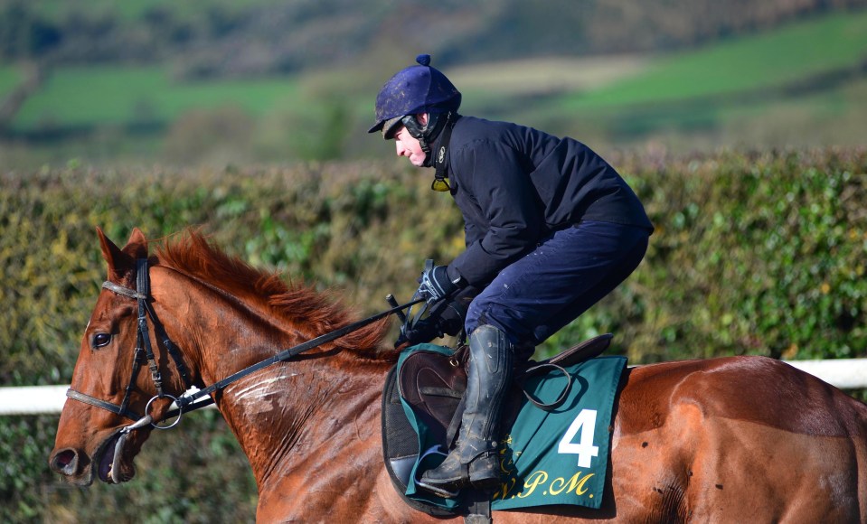 David Casey is the main man at Willie Mullins' yard and knows the ins and outs of all the horses - including four he has highlighted for this season