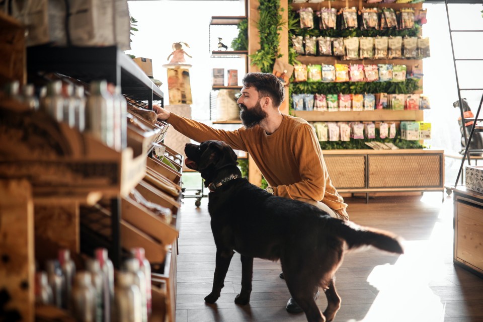 There are more opportunities than ever to shop with your pet in toe