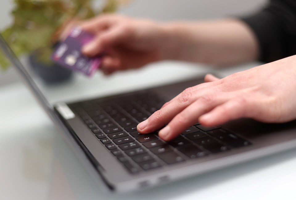 a person is typing on a laptop while holding a credit card