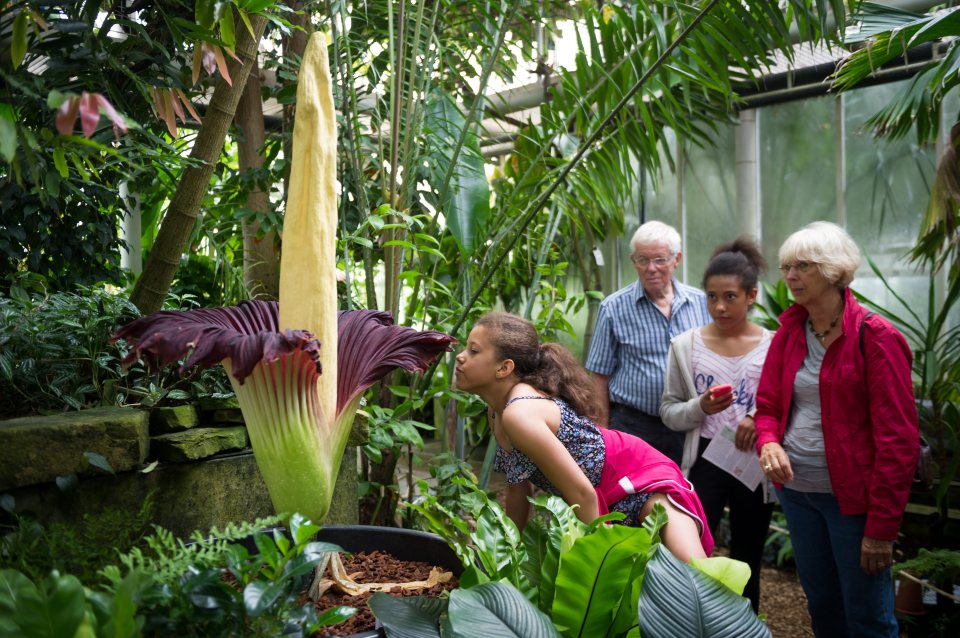 a girl is kissing a flower in a greenhouse