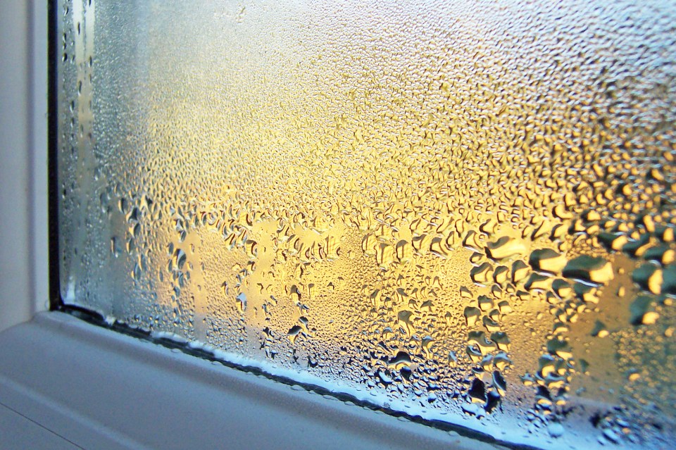 Are you struggling with condensation? The answer to tackle it is already sitting in your kitchen