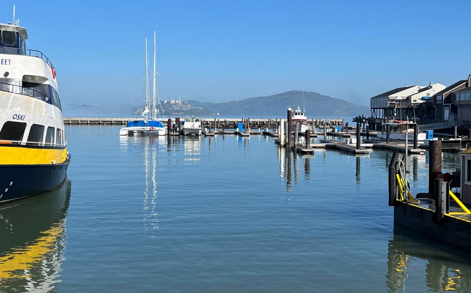 I spotted both Alcatraz and the famous seals