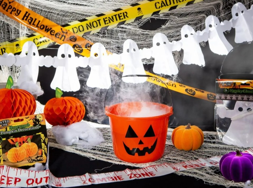 Yet to deck your house before the spooky holiday season? Best check out the latest bargains that have landed on the shelves in Lidl