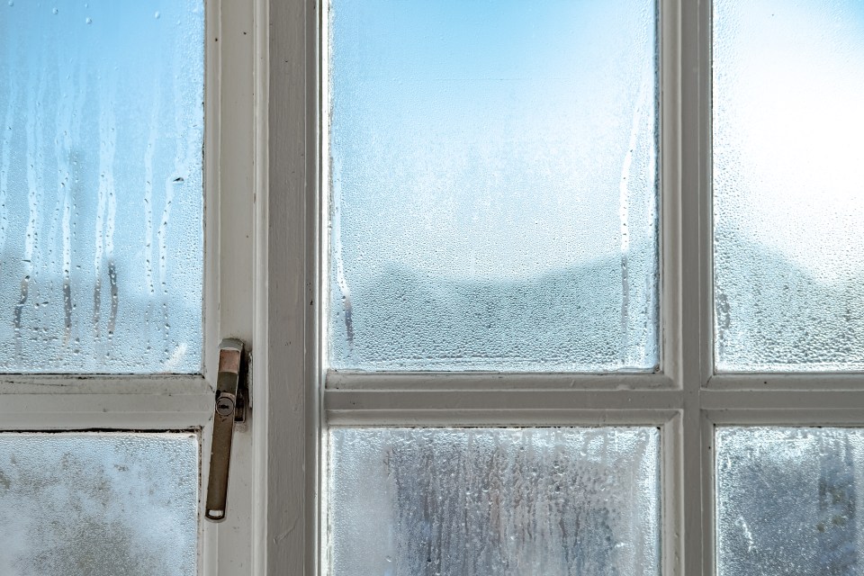 Condensation is common at this time of year