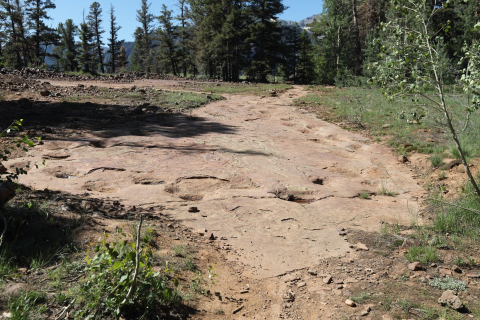 Hikers can get up close and personal with the amazing new discovery