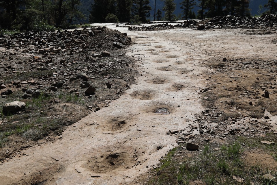 The tracks are 318ft long and contain 134 unique steps