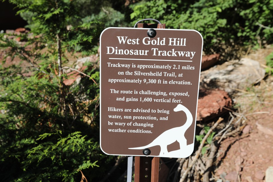 Members of the public can access the site on the Silvershield Tail at the West Gold Hill Dinosaur trackway in Colorado