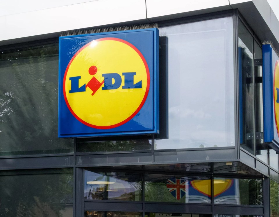 Shoppers have been sent into a frenzy after spotting Lidl's brand new dupes of Lush products