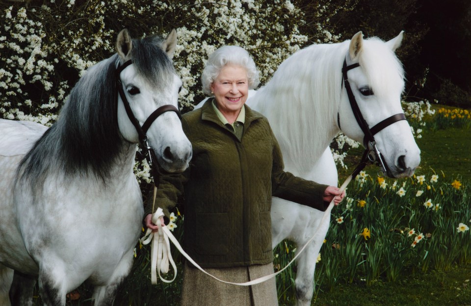 queen elizabeth ii stands next to two white horses