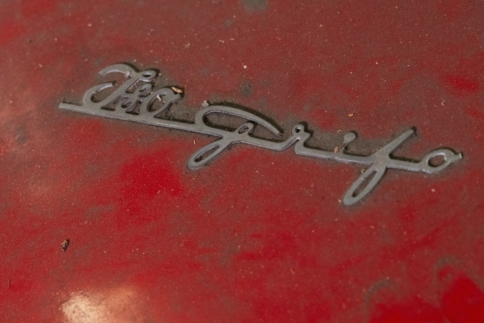 a close up of a car emblem that says fiat grifo