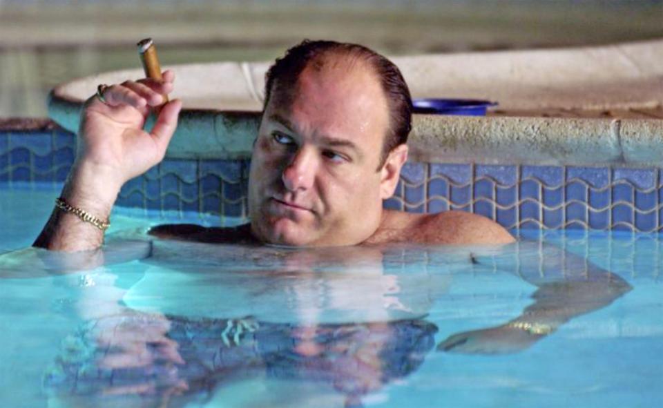 Stevenson was compared to Tony Soprano