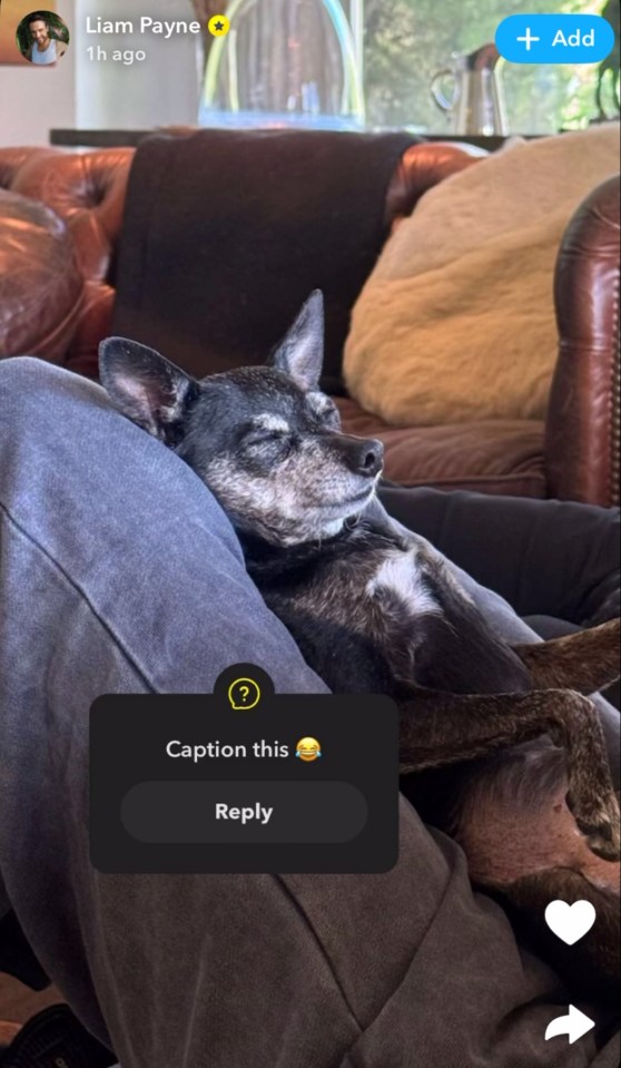 Liam asked fans to write a caption of his dog sleeping