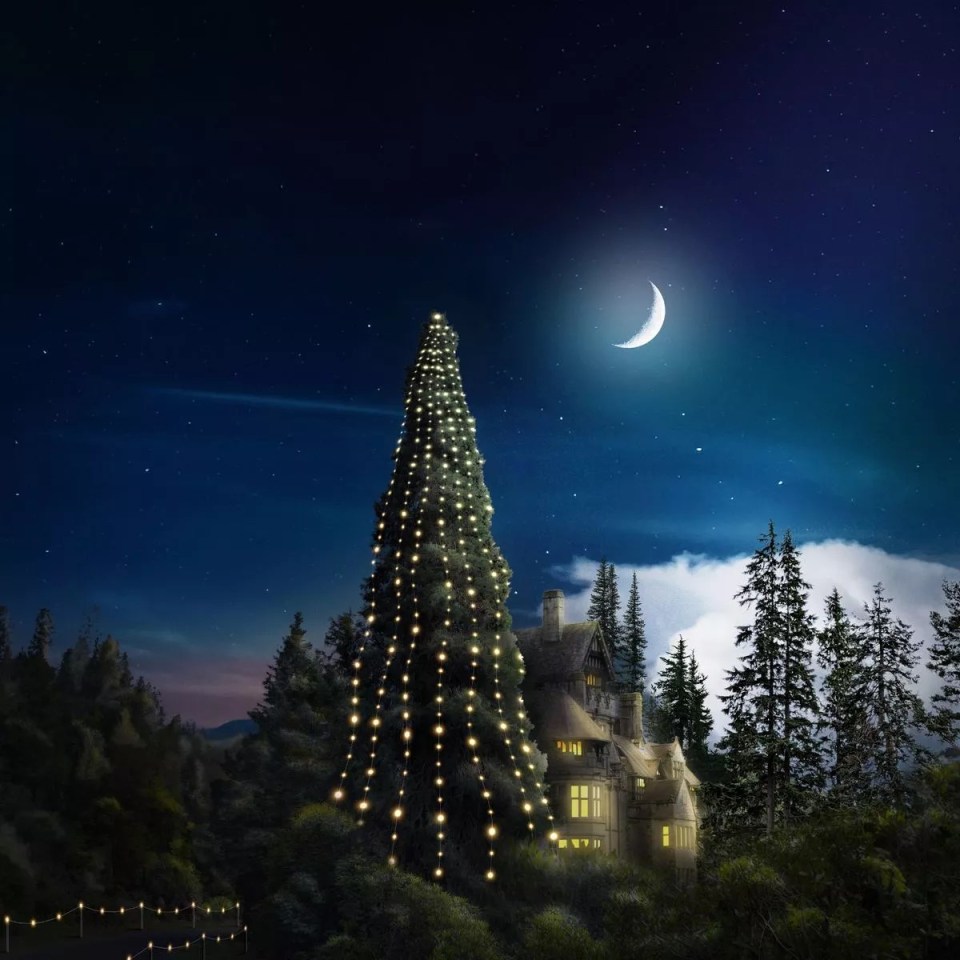 The UK's tallest Christmas tree is 42ft tall - the height of 10 double-decker buses