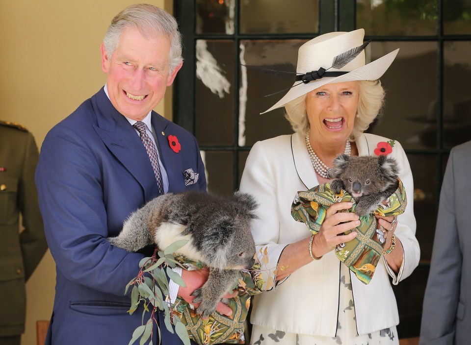 a man and a woman holding a koala bear