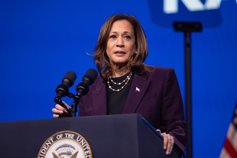 Vice President Kamala Harris