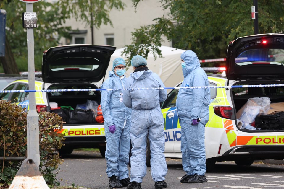 Police and forensic officers at the scene in Tottenham