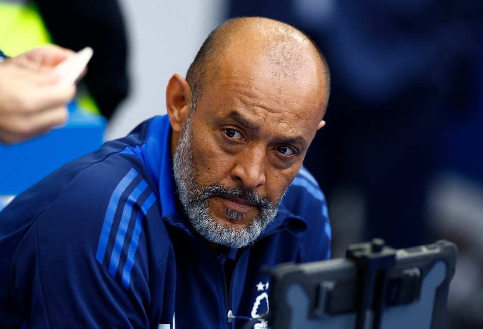 Nuno is getting a fine tune out of Wood