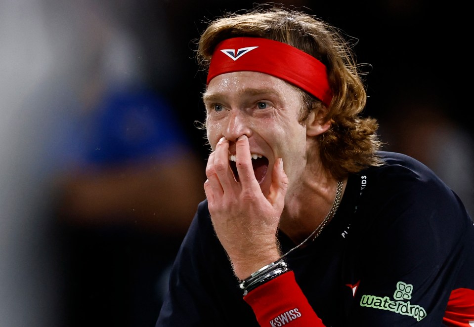 The Russian let out a furious outburst at the Paris Masters