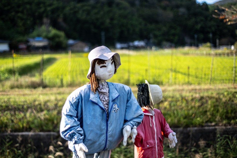 Dozens of the puppets are now scattered around the village