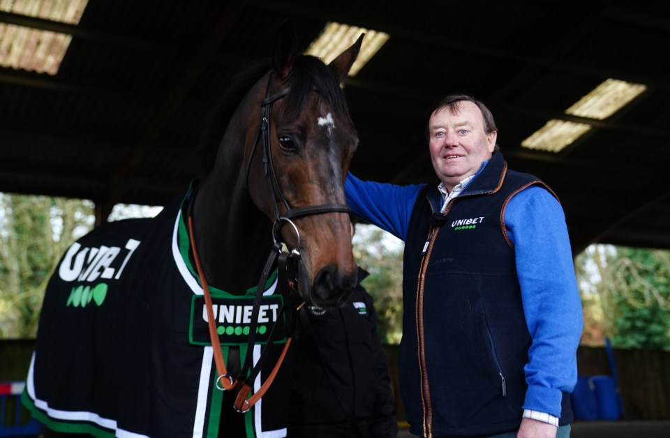 Trainer Nicky Henderson has welcomed a fair few new faces to his yard to train alongside the likes of Constitution Hill