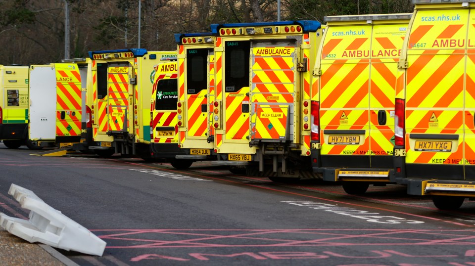 Ambulance delays are typically worse in the winter (stock image)