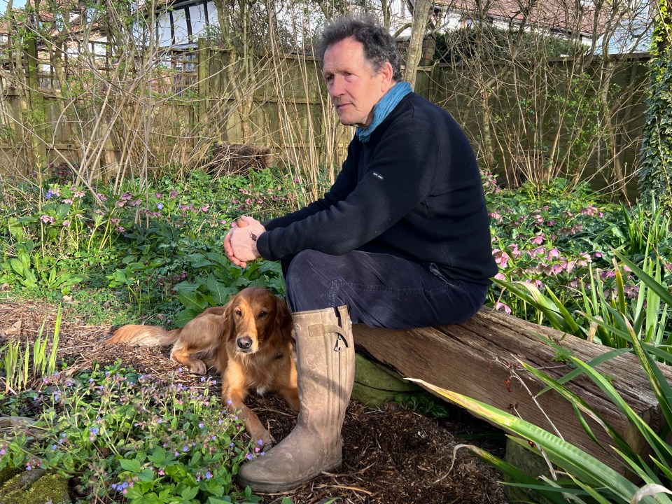 Monty Don, pictured, has shared his tips for using fallen leaves this autumn