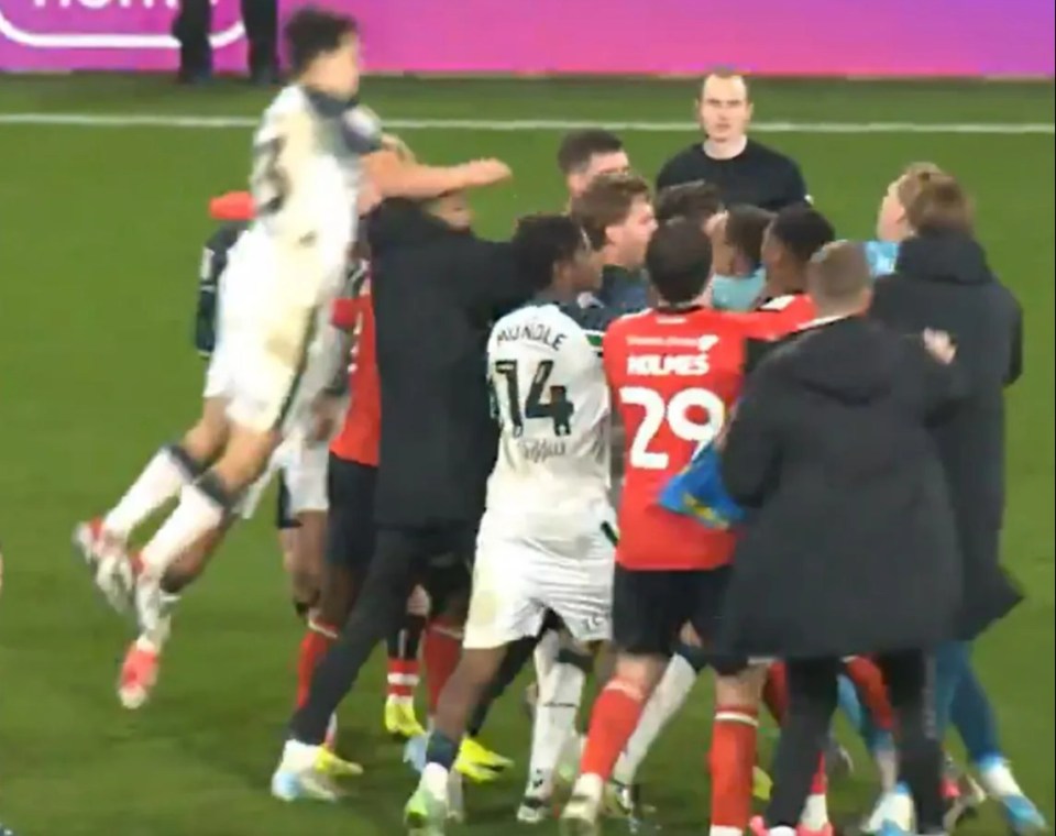 O’Nien leapt into the post-match brawl between Sunderland and Luton