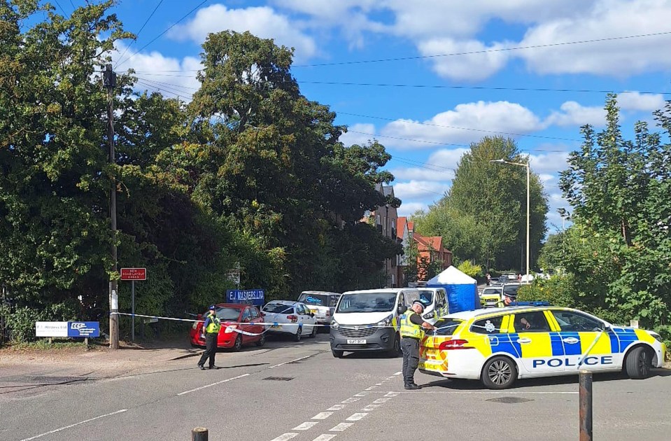 a police car is parked on the side of the road