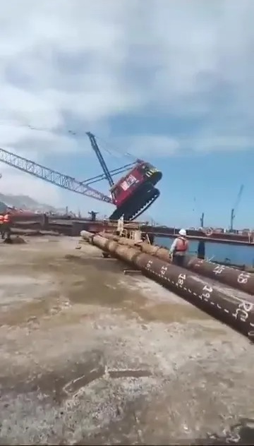 Workers were heard screaming as the crane dramatically fell