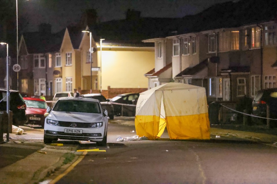 The scene in Dagenham after the alleged stabbing