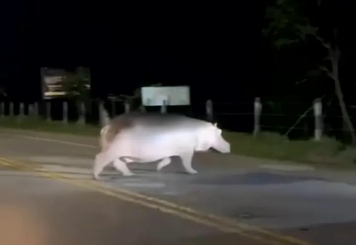 The bizarre incident happened in Doradal near Puerto Triunfo, Colombia