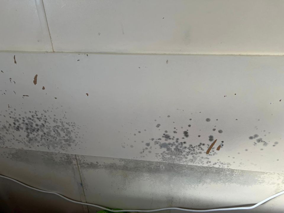 One woman, from Kent, took to Facebook to seek advice after the anti-mould spray couldn't help her walls