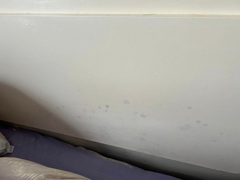 The cleaning lover shared snaps of her walls before and after using anti-mould spray