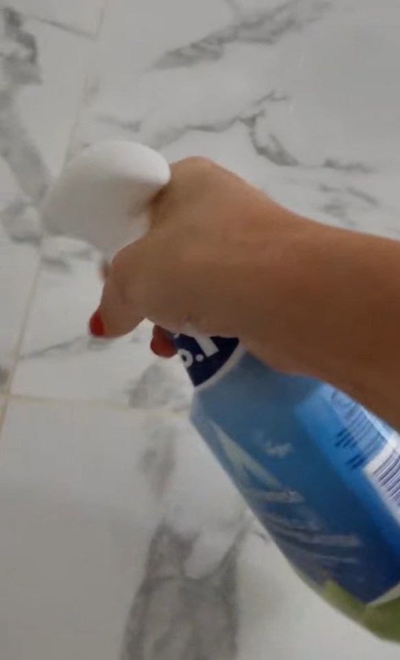 Rebecca used Astonish Mould and Mildew remover