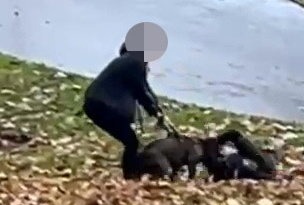 A woman, thought to be one of the dog's owners, tries to pull the canine off the young lad