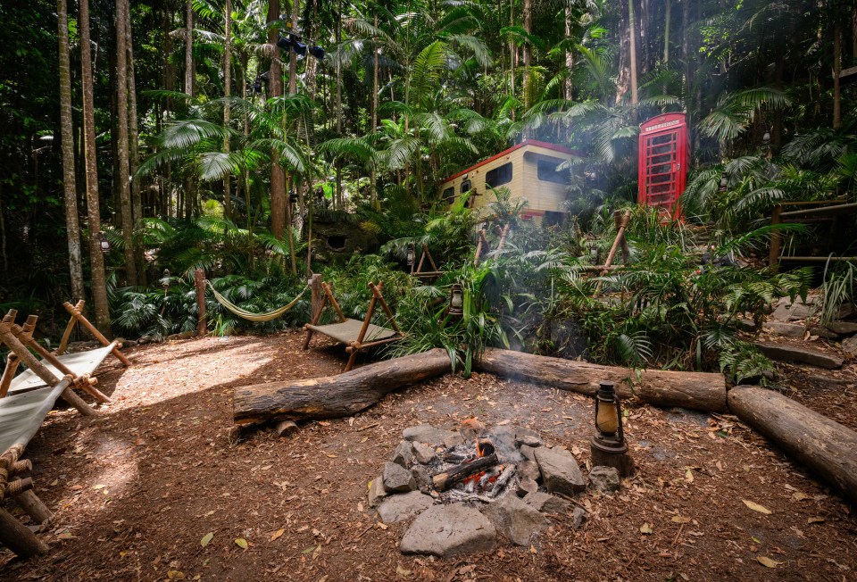 a red telephone booth sits in the middle of a forest