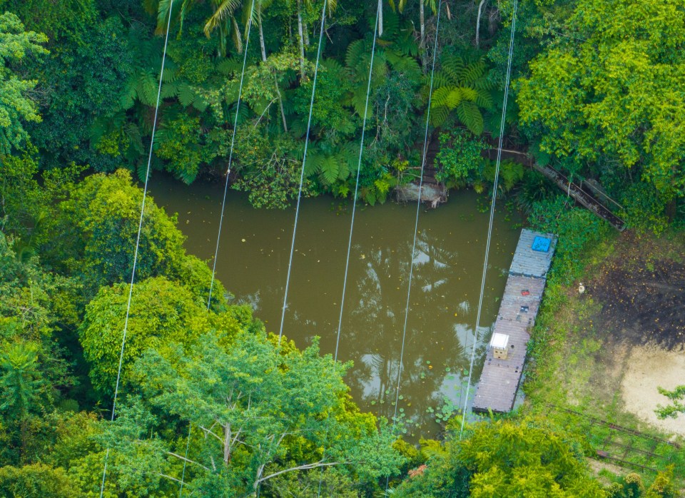 The celebrities are set to face a string of creatures inside the tanks