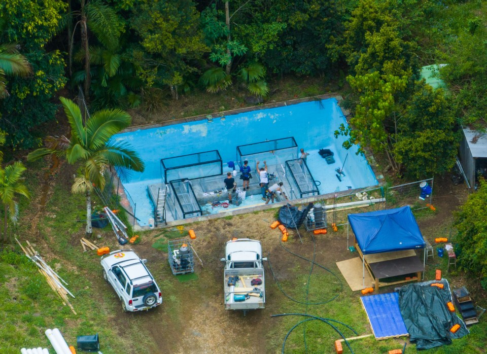 Four glass boxes have been assembled in a swimming pool