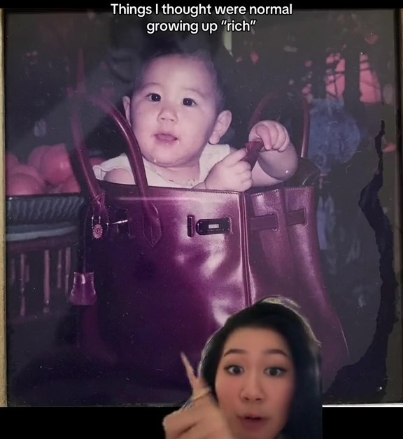 a picture of a baby in a purple purse with the caption things i thought were normal growing up " rich "