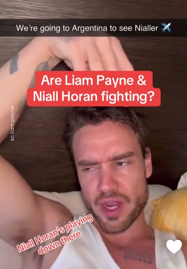 a snapchat of liam payne and niall horan