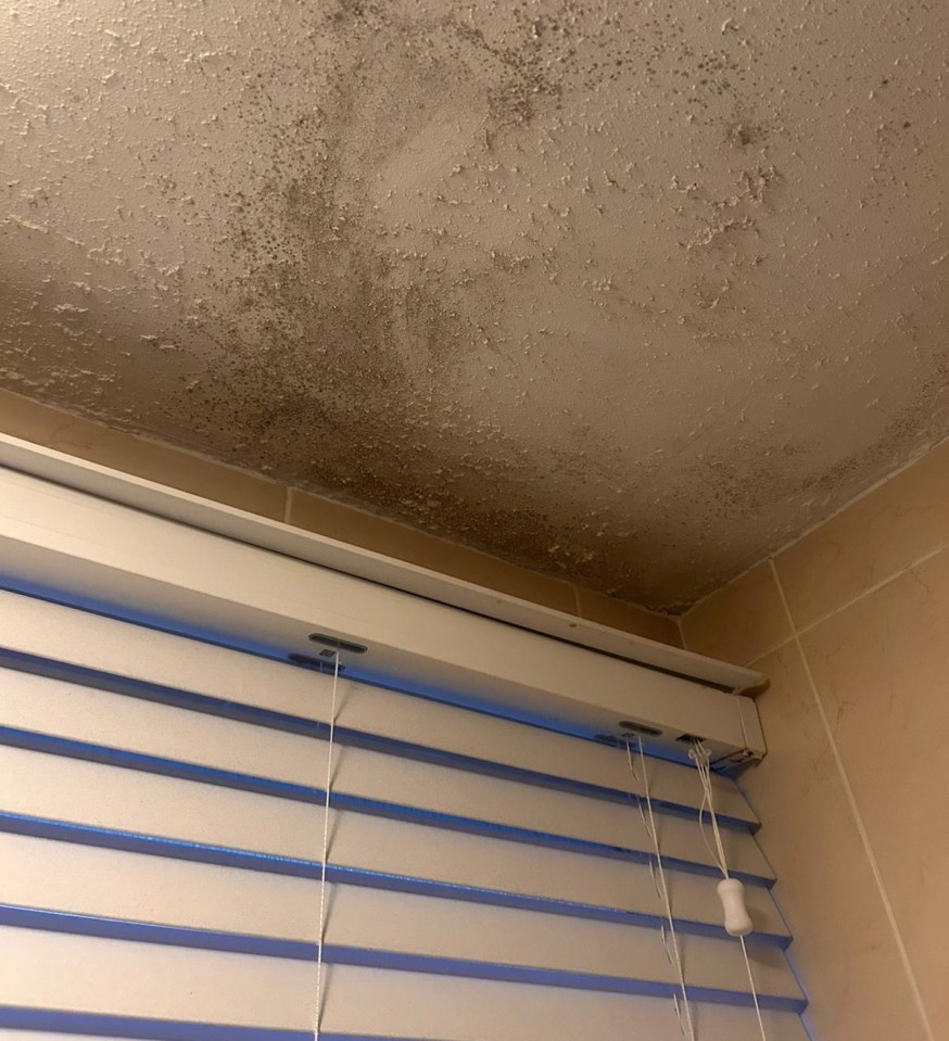 For social housing, new legislation known as Awaab’s Law is due to come into force requiring landlords to act on mould within a strict timeframe