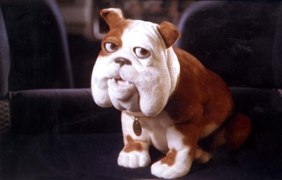 But Piers says he's more like he’s more like Churchill the bulldog from insurance adverts