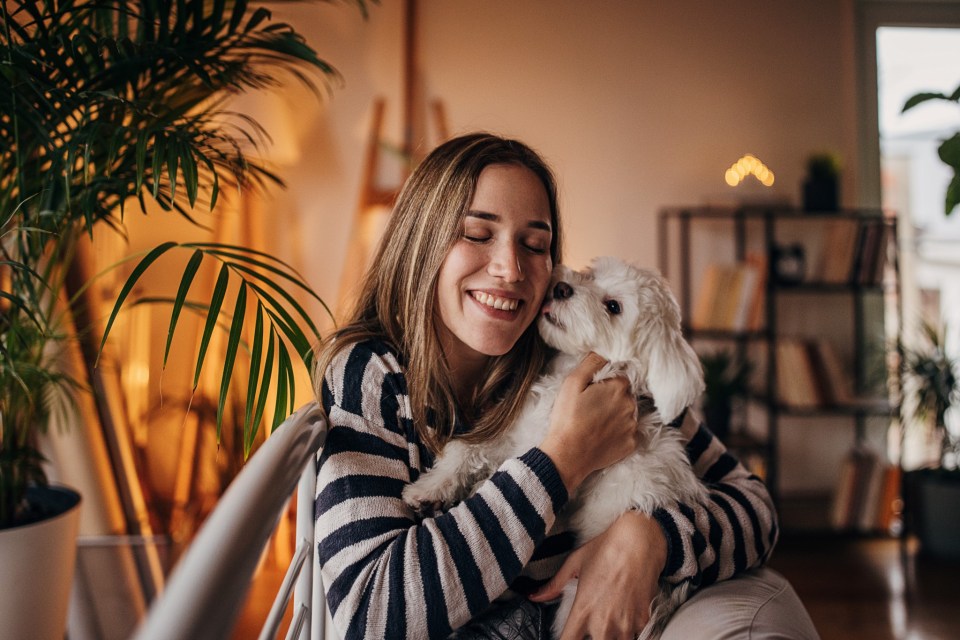 a woman in a striped sweater is holding a small white dog